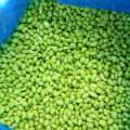 IQF Frozen Peeled Soybean Edamame Kernels